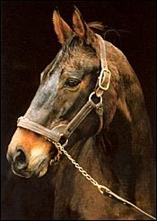 Champion Our Mims Dead at Age 29 Champion Our Mims Dead at Age 29