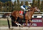 Indian Vale, with Mike Luzzi up, wins the Next Move Stakes, Saturday at at Aqueduct.<br><a target="blank" href="http://www.bloodhorse.com/horse-racing/photo-store?ref=http%3A%2F%2Fpictopia.com%2Fperl%2Fgal%3Fprovider_id%3D368%26ptp_photo_id%3D949011%26ref%3Dstory">Order This Photo</a>