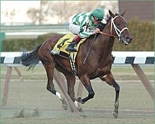 Randaroo Wins Early Duel, Romps in Distaff Randaroo Wins Early Duel, Romps in Distaff