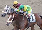 Devil May Care Earns Breeders' Cup Berth Devil May Care Earns Breeders' Cup Berth
