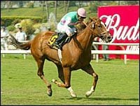 Tates Creek Gives Frankel a Second Grade I Tates Creek Gives Frankel a Second Grade I