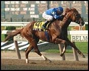 Express Tour Romps in Jerome Handicap Express Tour Romps in Jerome Handicap