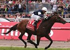 Green Moon Pulls Melbourne Cup Upset Green Moon Pulls Melbourne Cup Upset