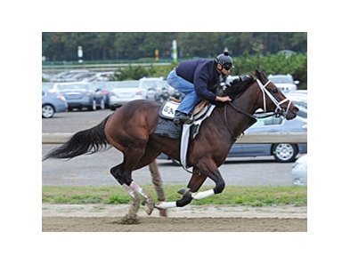 Uncle Mo worked six furlongs in 1:13.22 at Belmont October 23.
