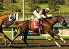 Tap It Light holds off Rendezvous to take the Tokyo City Cup Handicap.<br><a target="blank" href="http://www.bloodhorse.com/horse-racing/photo-store?ref=http%3A%2F%2Fpictopia.com%2Fperl%2Fgal%3Fprovider_id%3D368%26ptp_photo_id%3D8864122%26ref%3Dstory">Order This Photo</a>