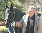 A Groom's View: Wade and Slew, Eye to Eye A Groom's View: Wade and Slew, Eye to Eye