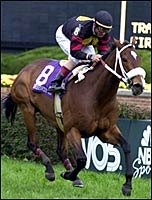 Jocks' Race to the Wire Jocks' Race to the Wire