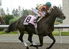 Biofuel in the Selene Stakes.