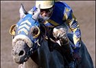 Evening Attire could run in the Knickerbocker if rain forces the race onto the main track.
