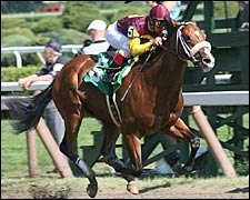 Discreet Cat Victorious in UAE Derby Prep Discreet Cat Victorious in UAE Derby Prep