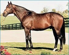 Leading Sire Deputy Minister Dies at Age 25 Leading Sire Deputy Minister Dies at Age 25