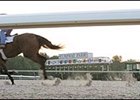 The Polytrack surface at Turfway Park is apparently impacted by temperatures or temperature fluctuations.
