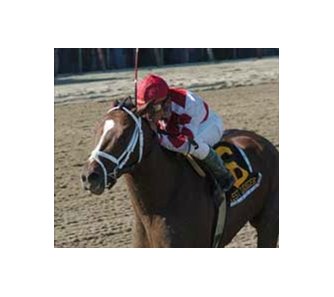 Forest Danger wins Carter.