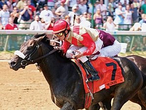 Chelokee Update: No Fracture Chelokee Update: No Fracture
