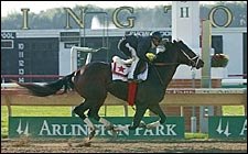 Grade I Winner Sky Mesa Retired; Fee $30,000 Grade I Winner Sky Mesa Retired; Fee $30,000