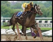 Belmont Park Race Report: One of the Boys Belmont Park Race Report: One of the Boys