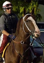 Enigmas Vie in All American Handicap Enigmas Vie in All American Handicap