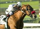 Illinois Derby favorite Cobalt Blue won the San Felipe convincingly.<br><a target="blank" href="http://www.bloodhorse.com/horse-racing/photo-store?ref=http%3A%2F%2Fpictopia.com%2Fperl%2Fgal%3Fprovider_id%3D368%26ptp_photo_id%3D896187%26ref%3Dstory">Order This Photo</a>