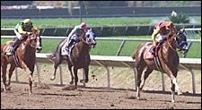 California Star General Challenge Retired California Star General Challenge Retired