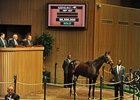 Besilu Buys Royal Delta for $8.5 Million Besilu Buys Royal Delta for $8.5 Million