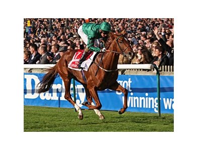 New Approach dominates the Emirates Airline Champion Stakes in his final start.
