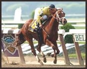 Belmont Park Race Report (Cont.) Belmont Park Race Report (Cont.)