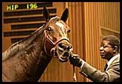 Keeneland January Sale Off to Strong Start Keeneland January Sale Off to Strong Start