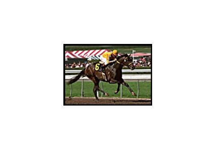 Came Home comes home victorious in the San Rafael.