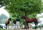 State-Breds Entice Keeneland Yearling Buyers State-Breds Entice Keeneland Yearling Buyers