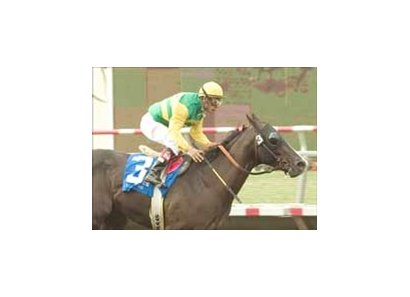 What A Song remains unbeaten with Best Pal win.