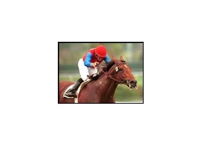 Timboroa leads Frankle assault on the Del Mar Handicap.