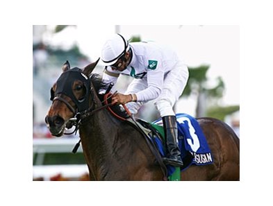 Graded stakes winner Sharp Susan heads the Violet Stakes.