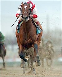 Read the Footnotes to Sequel Stallions in Florida. Read the Footnotes to Sequel Stallions in Florida.