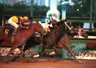 Radical Riley heads Buckle Down Ben (center) and Cee Dee (left) in Saturday's Holy Bull Stakes.