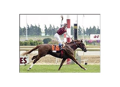 Wando, Canadian Triple Crown winner named Horse of the Year in Canada.