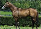 Organizers Pleased With Oklahoma Yearling Sale Organizers Pleased With Oklahoma Yearling Sale