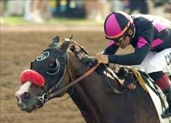 Lava Man Nominated to Breeders' Cup Through New Program Lava Man Nominated to Breeders' Cup Through New Program