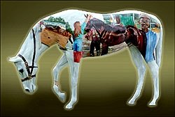 White Horse Award Lunch to Feature Art Sale White Horse Award Lunch to Feature Art Sale