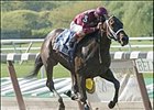 Nassau County BC Stakes winner Bending Strings retired in foal to Distorted Humor.