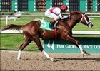 Master Command seeks 3rd consecutive win in National Jockey Club