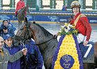 Nownownow, who won the 2007 BC Juvenile Turf, sold for $130,000 to top the Nov. 17 session of the Keeneland breeding stock sale.<br><a target="blank" href="http://www.bloodhorse.com/horse-racing/photo-store?ref=http%3A%2F%2Fpictopia.com%2Fperl%2Fgal%3Fprovider_id%3D368%26ptp_photo_id%3D2627213%26ref%3Dstory">Order This Photo</a>