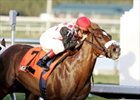 High Fly is Haskin's value horse in Saturday's Derby field.