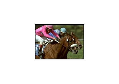 Grammarian, en route to victory in the Sunset Handicap.