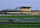 Royal Randwick Racecourse