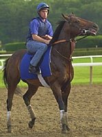Travers Taking Shape; Curule Breezes Travers Taking Shape; Curule Breezes