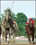 Madison Attracts Experienced Stakes Horses Madison Attracts Experienced Stakes Horses