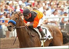 Baffert May Opt for Sprint With Roman Ruler Baffert May Opt for Sprint With Roman Ruler