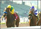 Composure Retired After Suffering Fracture Composure Retired After Suffering Fracture