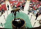 Fasig-Tipton yearling sales at Saratoga.