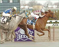 Funny Cide Reigns in New York's Excelsior Funny Cide Reigns in New York's Excelsior